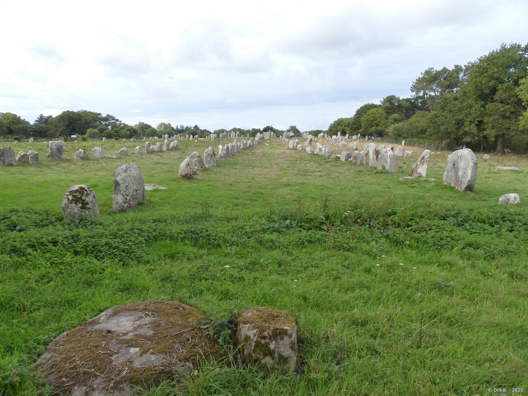 Les alignements de Kermario