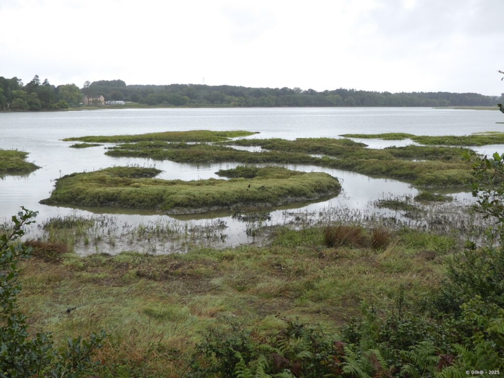Les vasières de Kerdaniel