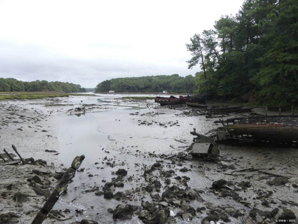 Les vasières de la rivière du Bono et les épaves de bateaux