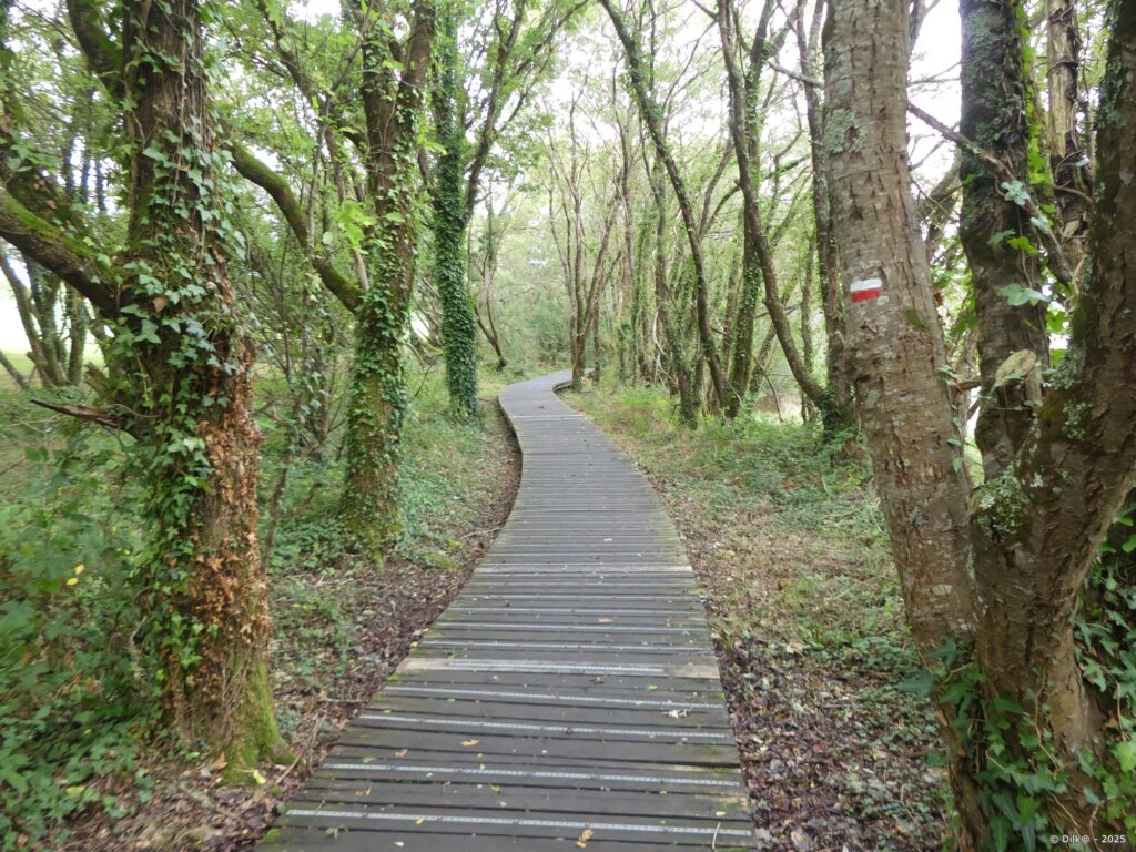 Platelage pour le GR34