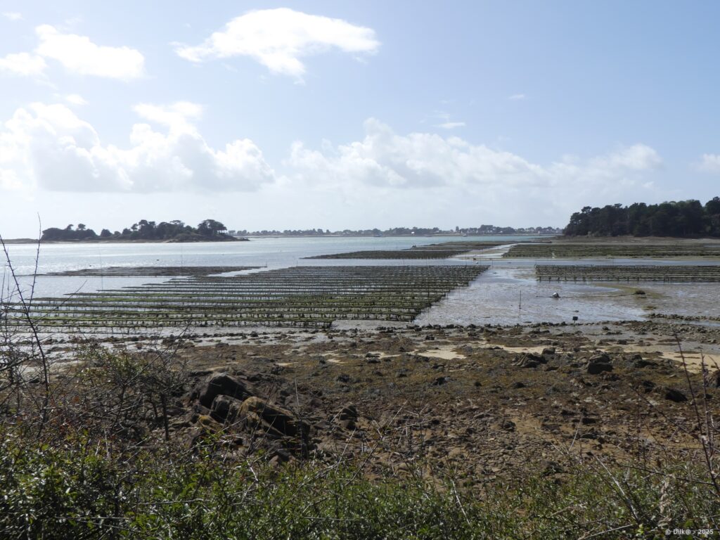 Vue depuis la pointe de Locmiquel vers la pointe de Kerpenhir