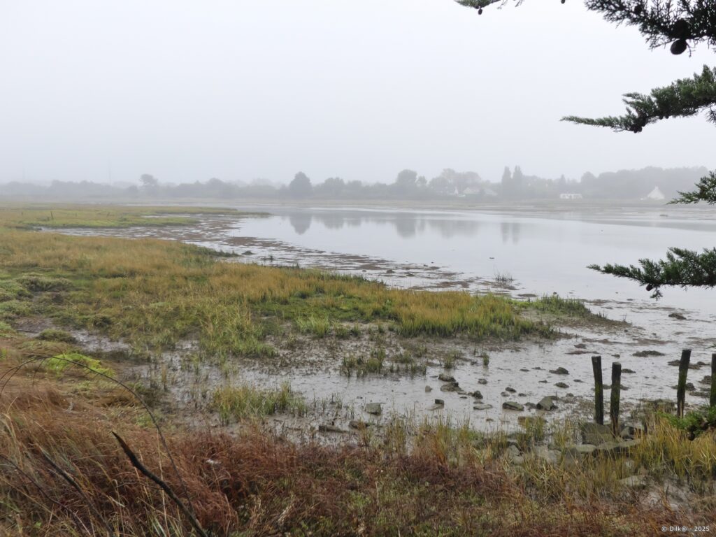 Le marais de Séné sous la pluie