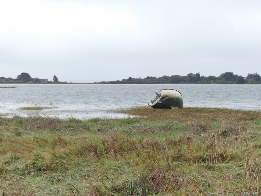 Les marais de Séné