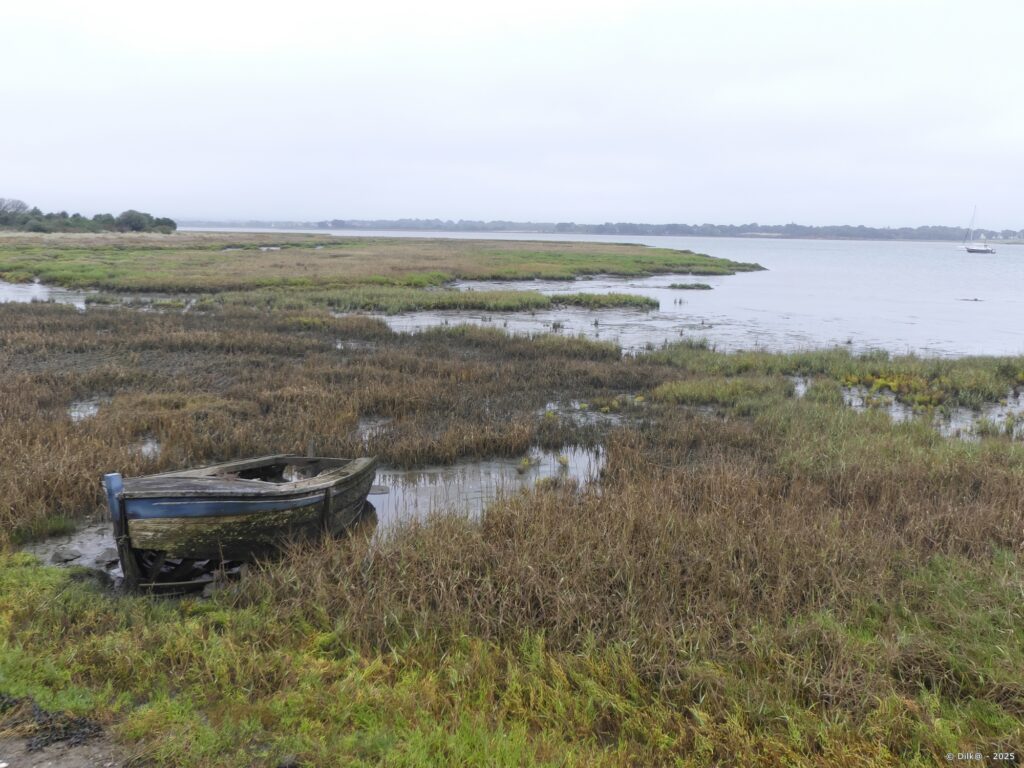 Les marais de Séné