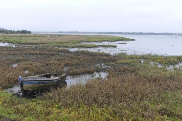 Les marais de Séné