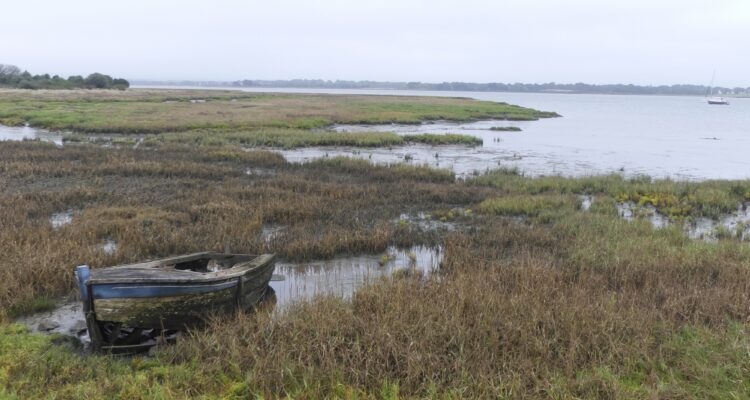 Les marais de Séné