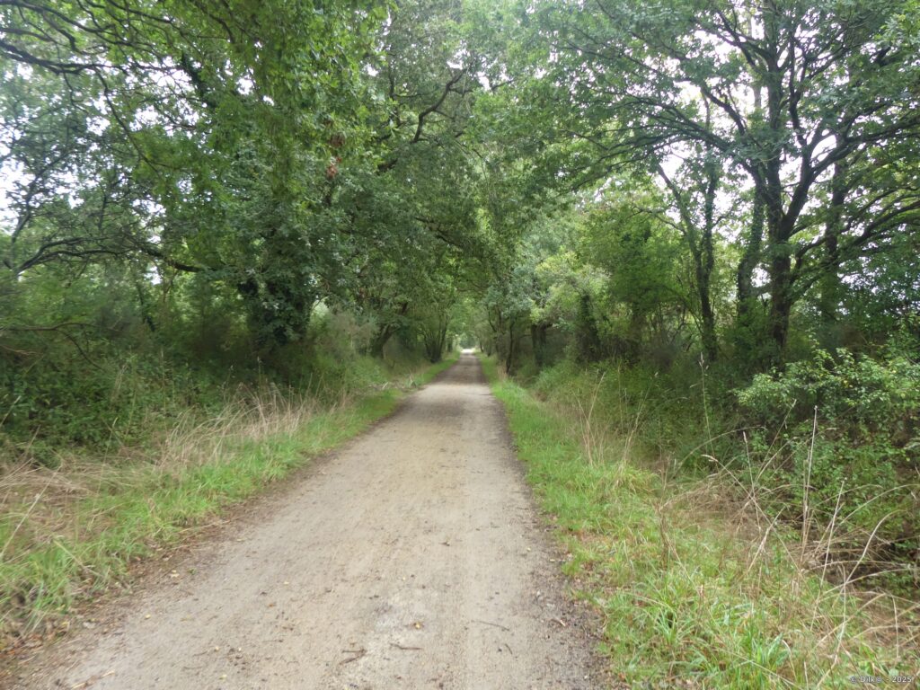 Le sentier qui longe la réserve naturelle de Séné