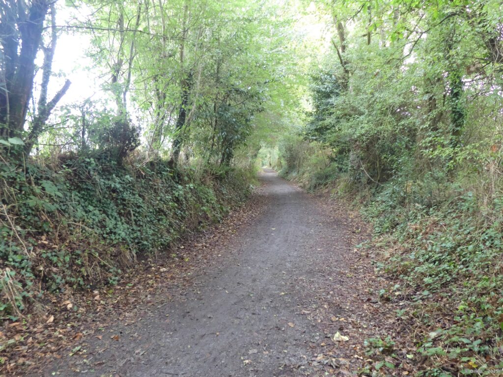 Chemin creux près de la réserve naturelle de Séné