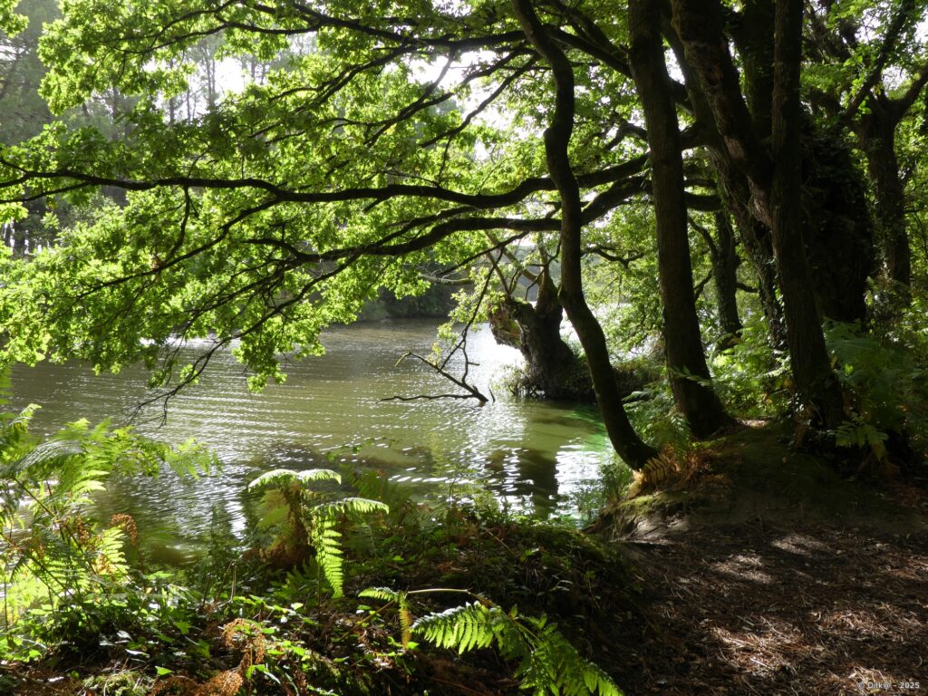 Le sentier traverse le parc de Loisirs de Theix