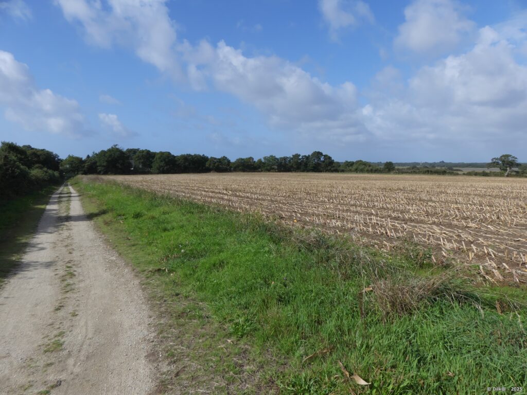 Après Theix, le sentier côtier longe des prés fauchés