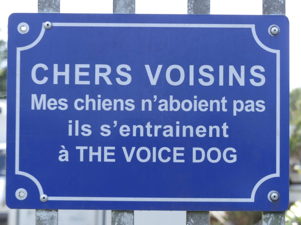 The Voice Dog !