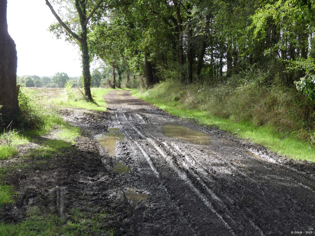 Le chemin devient boueux à la sortie de Noyalo