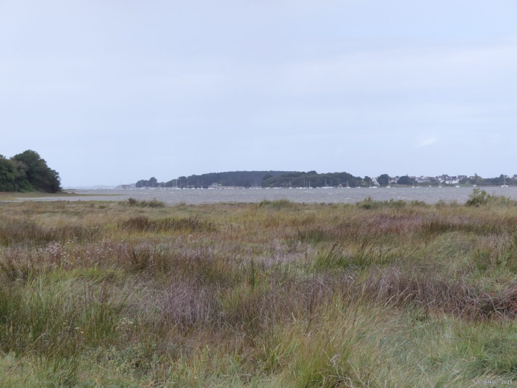 Le sentier rejoint de nouveau la mer