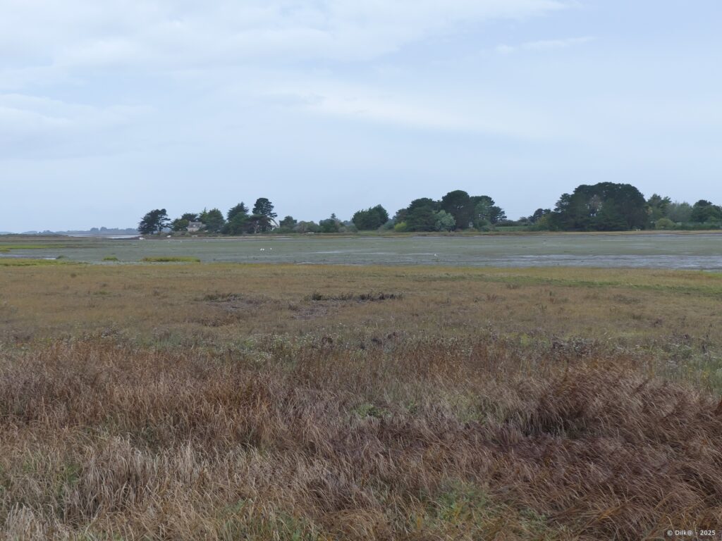 L'Île Tascon est accessible à pied à marée basse par une chaussée submersible