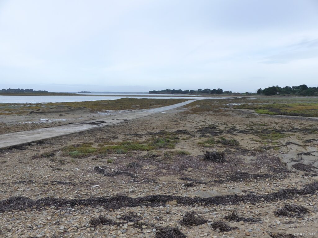 La chaussée submersible qui mène à l'île Tascon