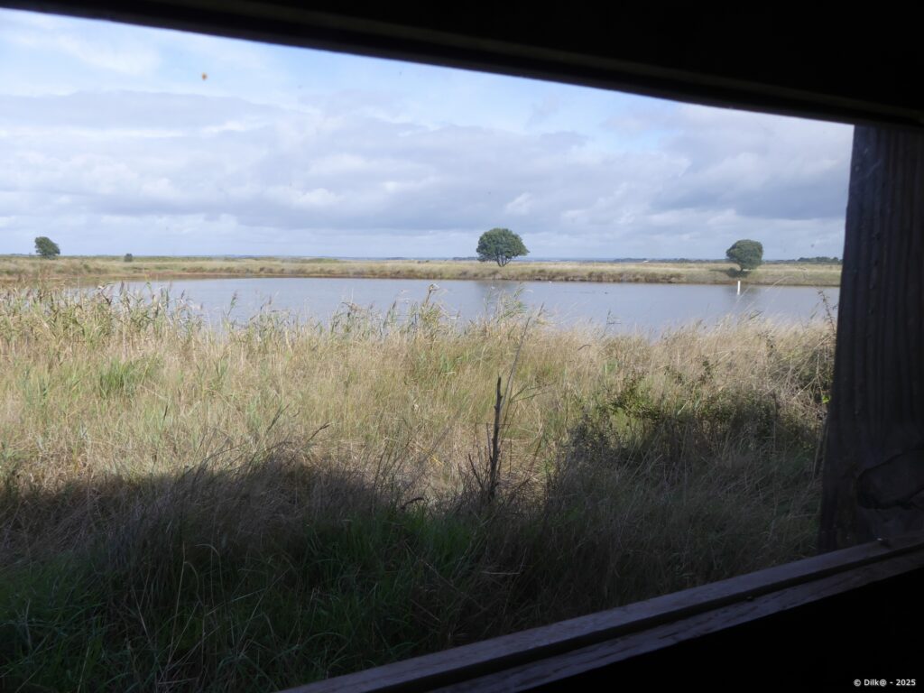 Le marais du Duer depuis l'un des deux observatoires