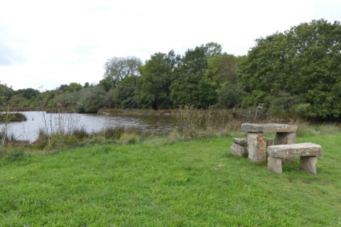 Table en pierre à Pont Févis