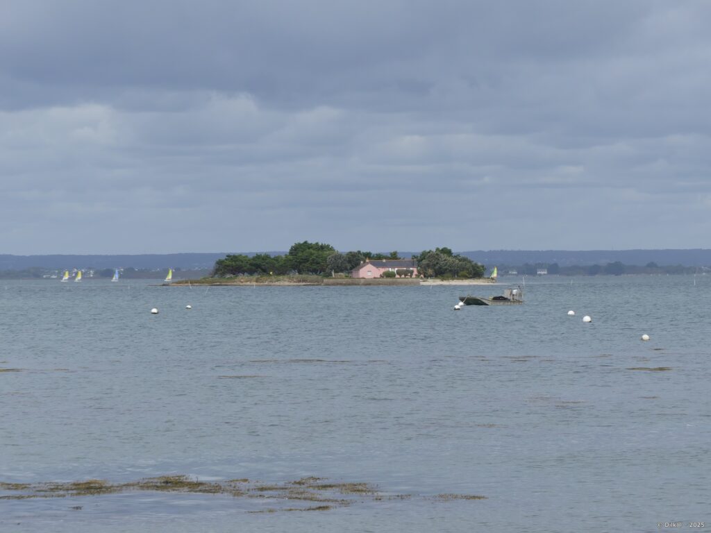 L'Île Lluric