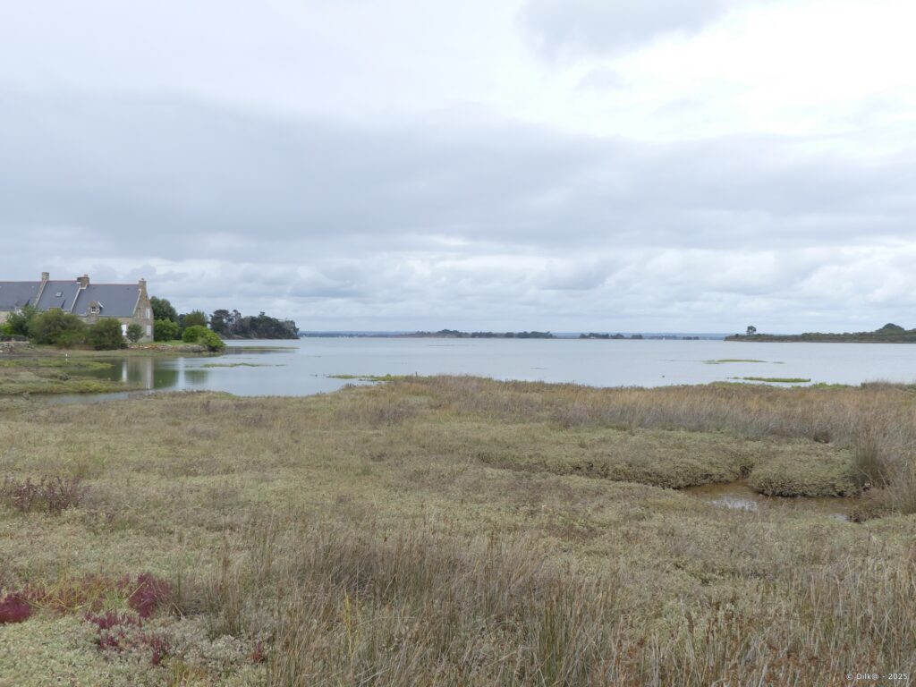 Vers la pointe de Bernon