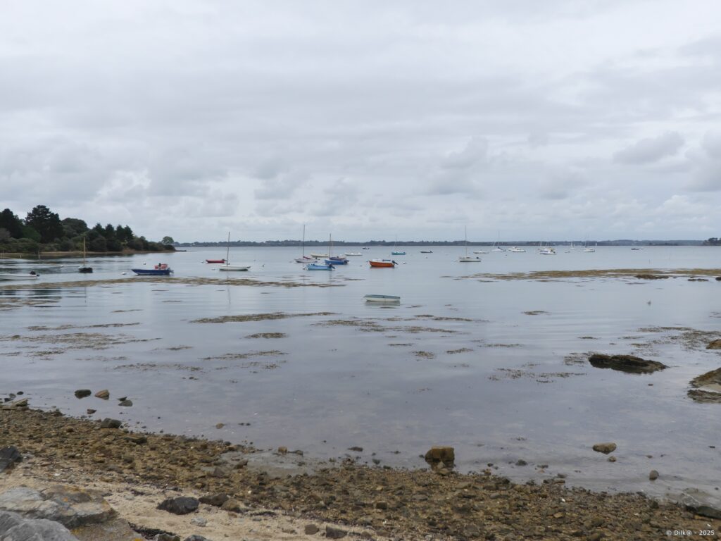 L'Île d'Arz au fond