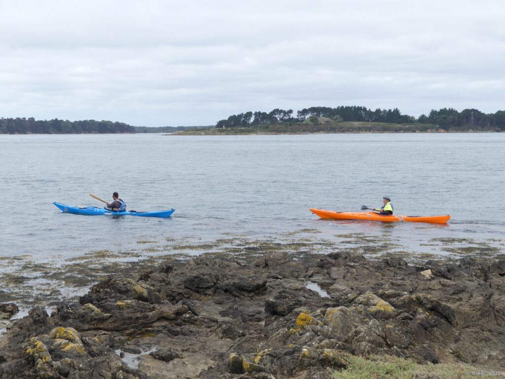 Des canoés devant l'île de Gavrinis