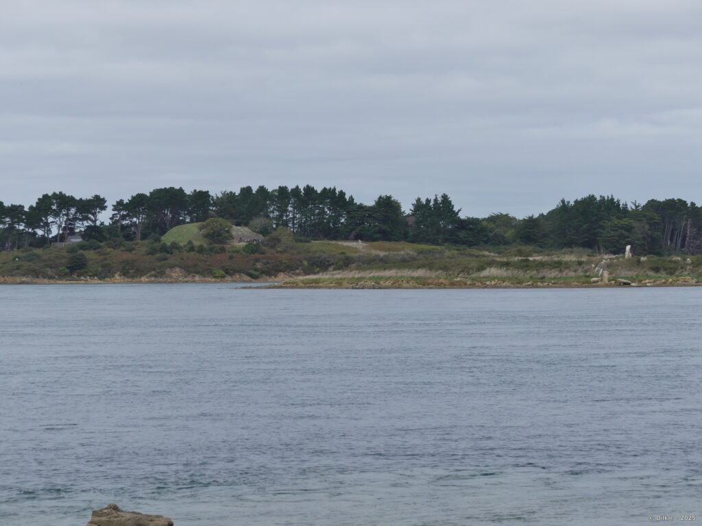 L'île de Gavrinis : son cairn et son ménhir
