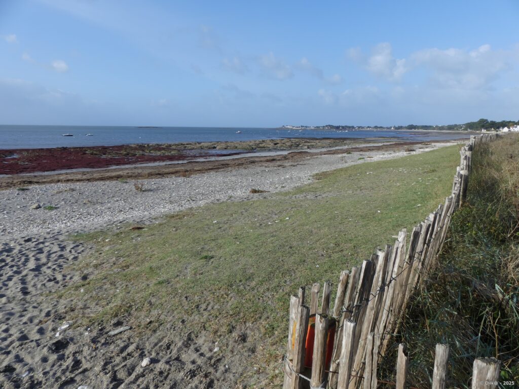 Au loin, Port Saint-Jacques