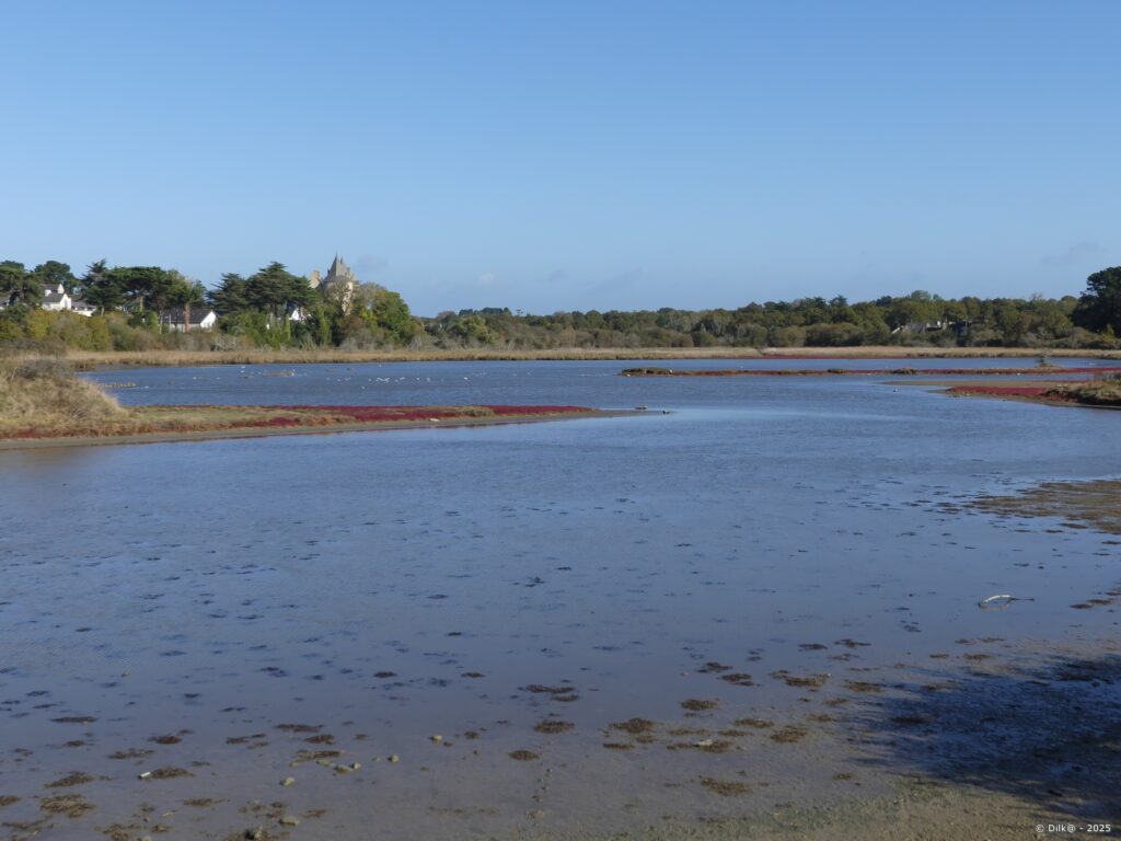 La marais de Suscinio et le haut des tours du château