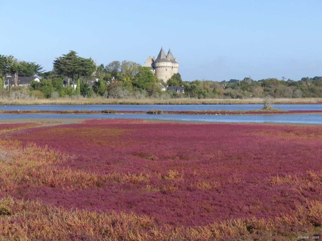 La marais et le château de Suscinio