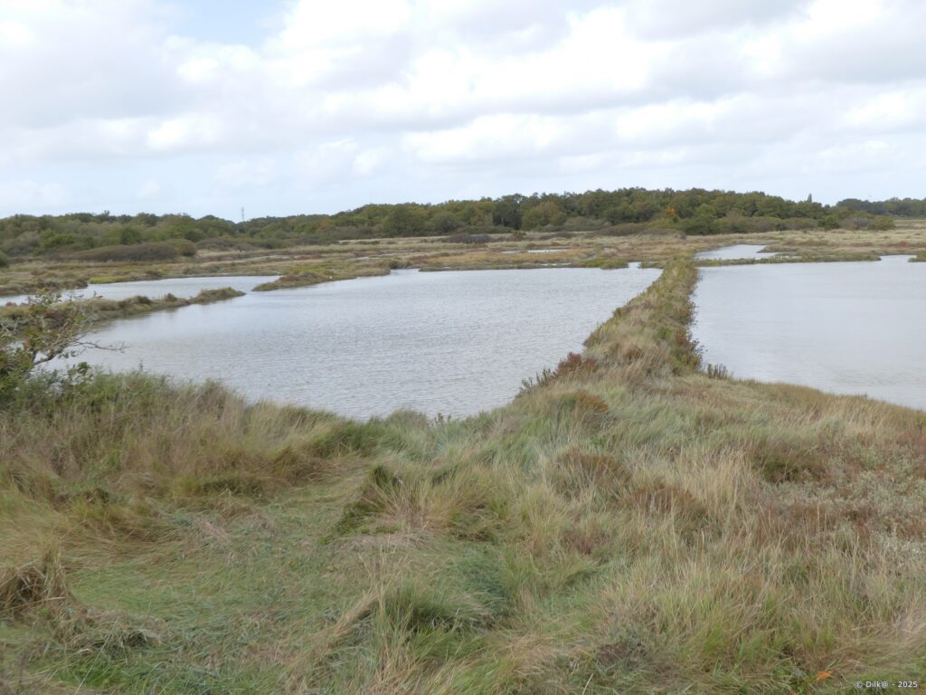 Les marais du Tour-du-Parc
