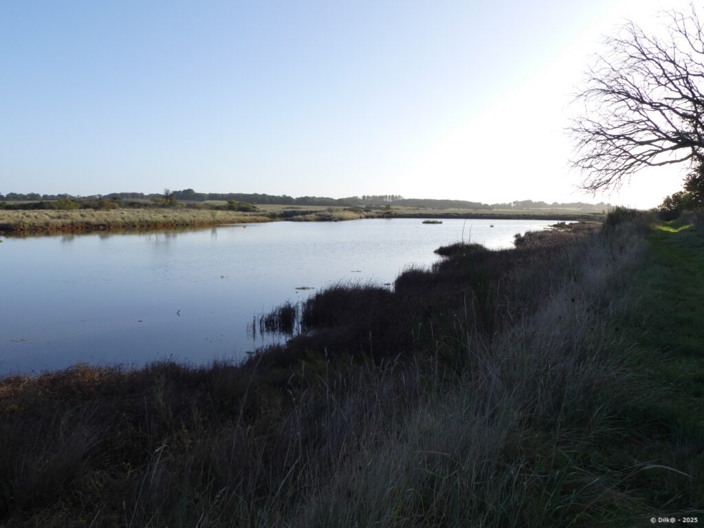 Le marais du Tour-du-Parc