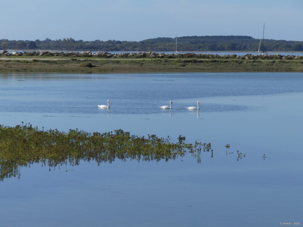 Presqu'île de Penerf