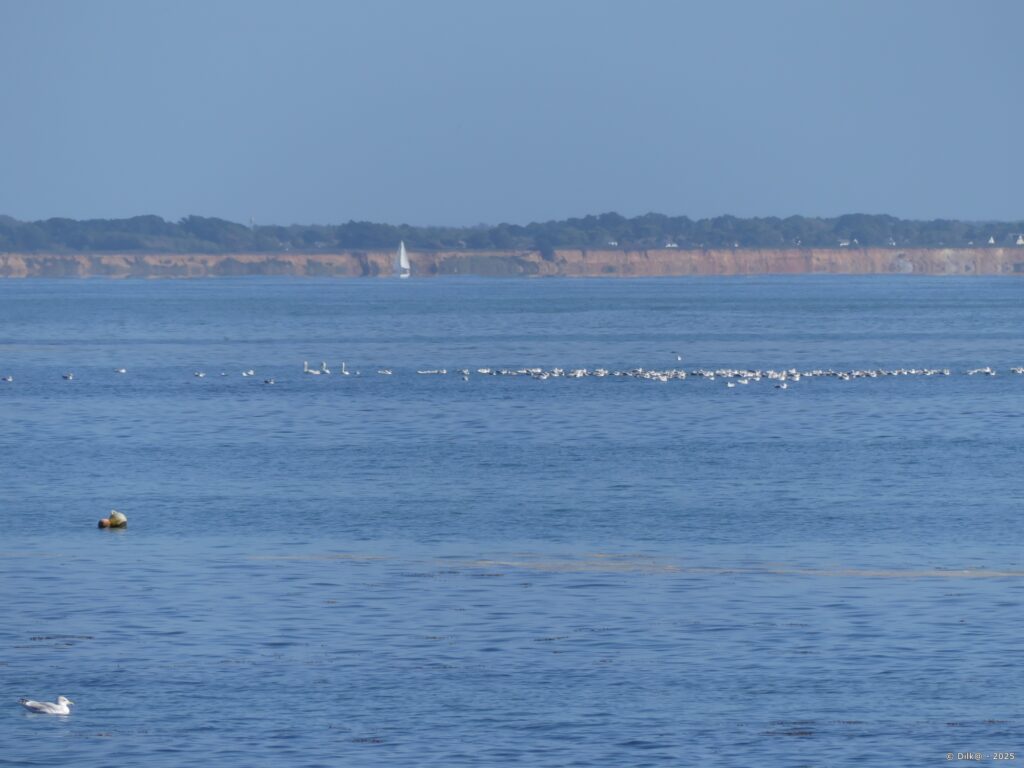 Les falaises de la Mine d'Or à Pénestin, de l'autre côté de la Vilaine