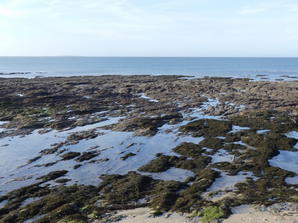 L'île Dumet au large