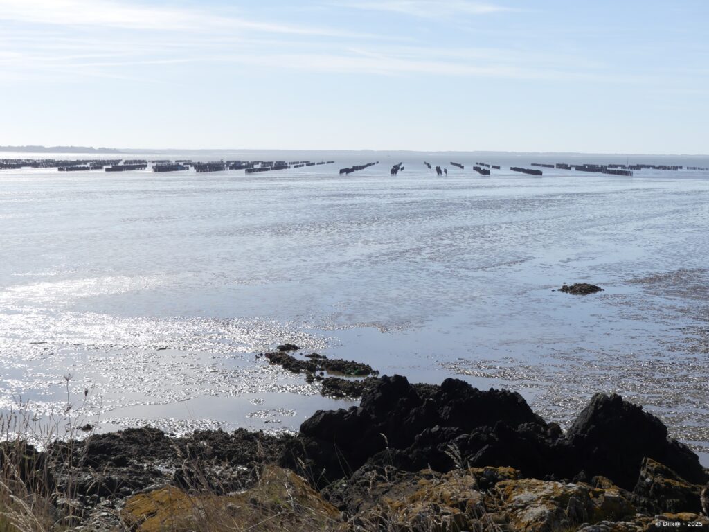 Les parcs à huitres dans la baie de Kervoyal