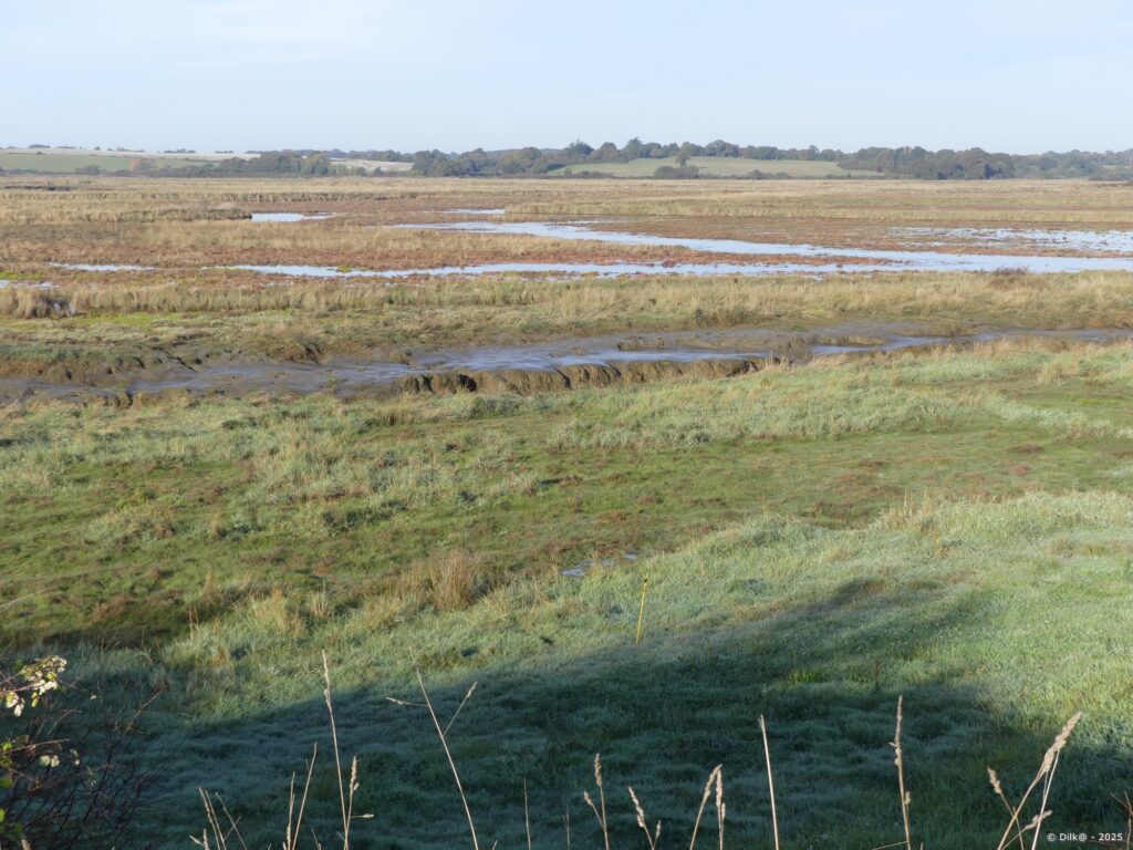 Le marais près de Billiers