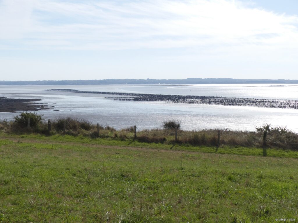 Bouchots face à la plage des Granges