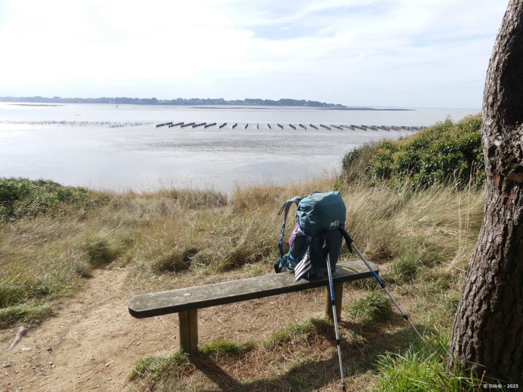 Pause pique-nique face à la Vilaine