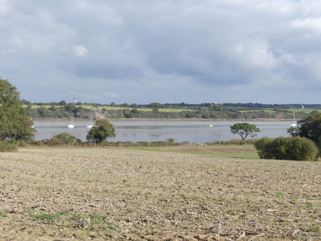 La Vilaine à Tréhiguier