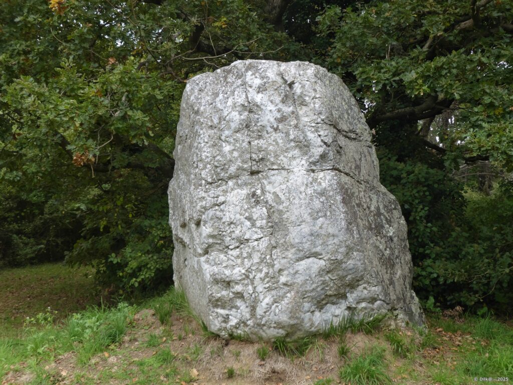 Le menhir de la Pierre Blanche à Tréhiguier