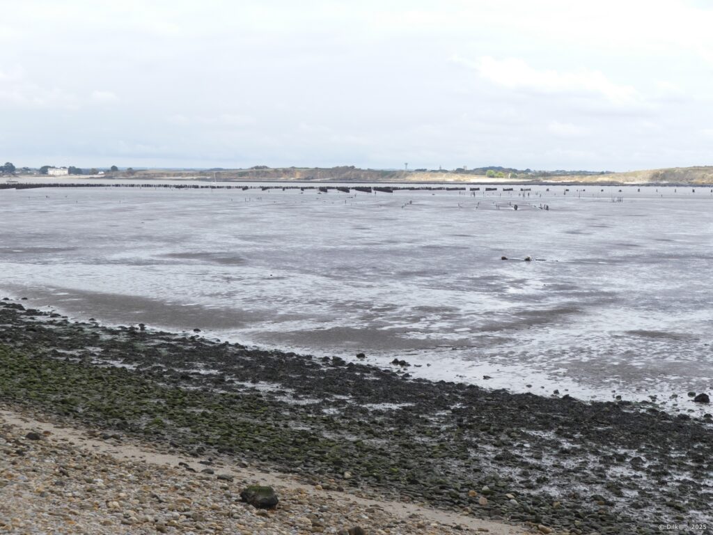 Le dolmen du Crapaud sur l'autre rive de la Vilaine