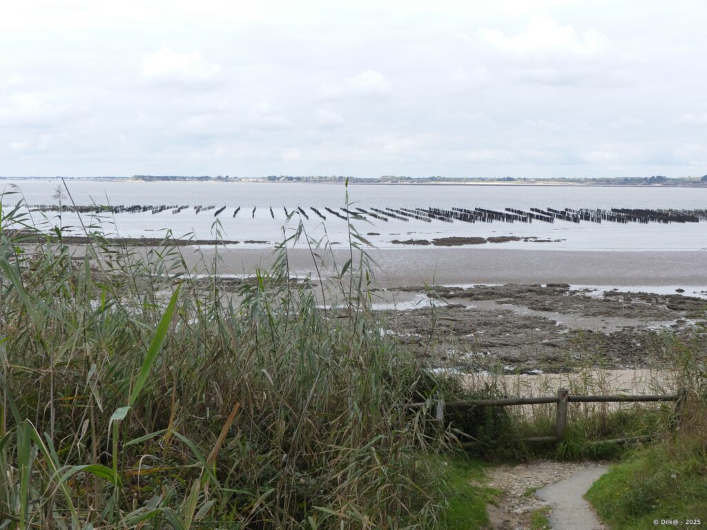 Vers la plage de Kervoyal