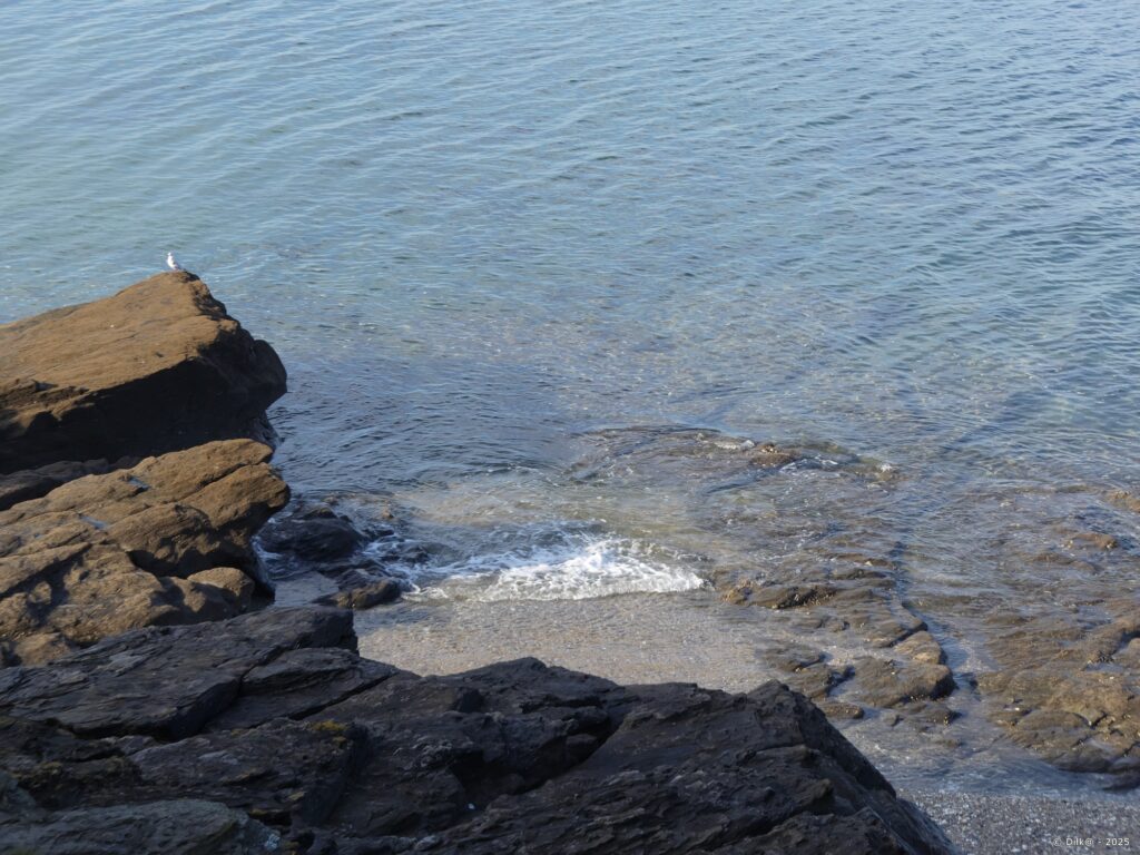 La mer bien transparente à la pointe du Maresclé
