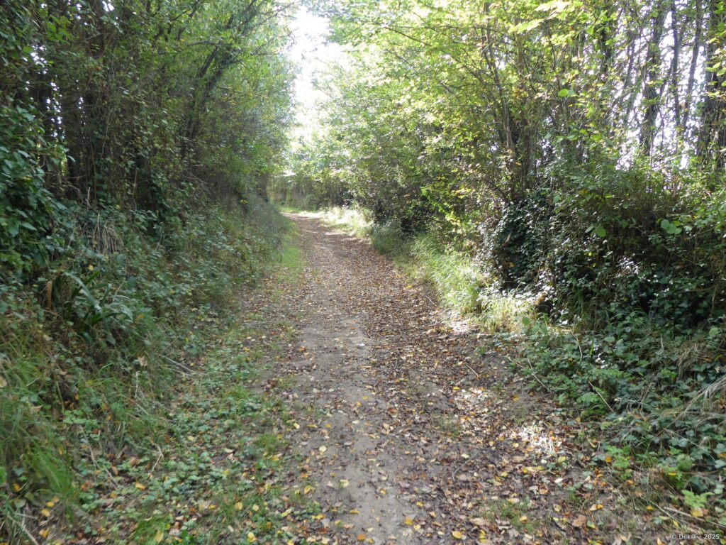 Le sentier traverse des sous-bois avant la baie de Pont Mahé
