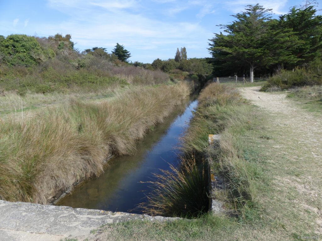 A gauche, le Morbihan, à droite la Loire Atlantique et au milieu l'étier de Pont Mahé
