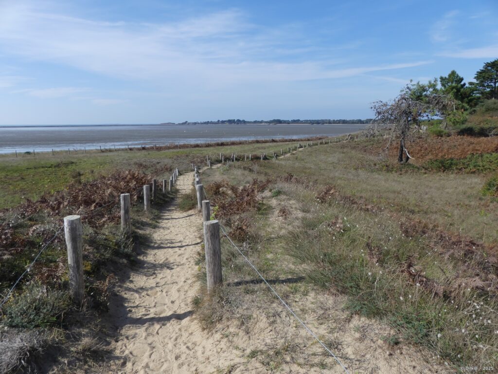 Les dunes et la forêt de Pont Mahé