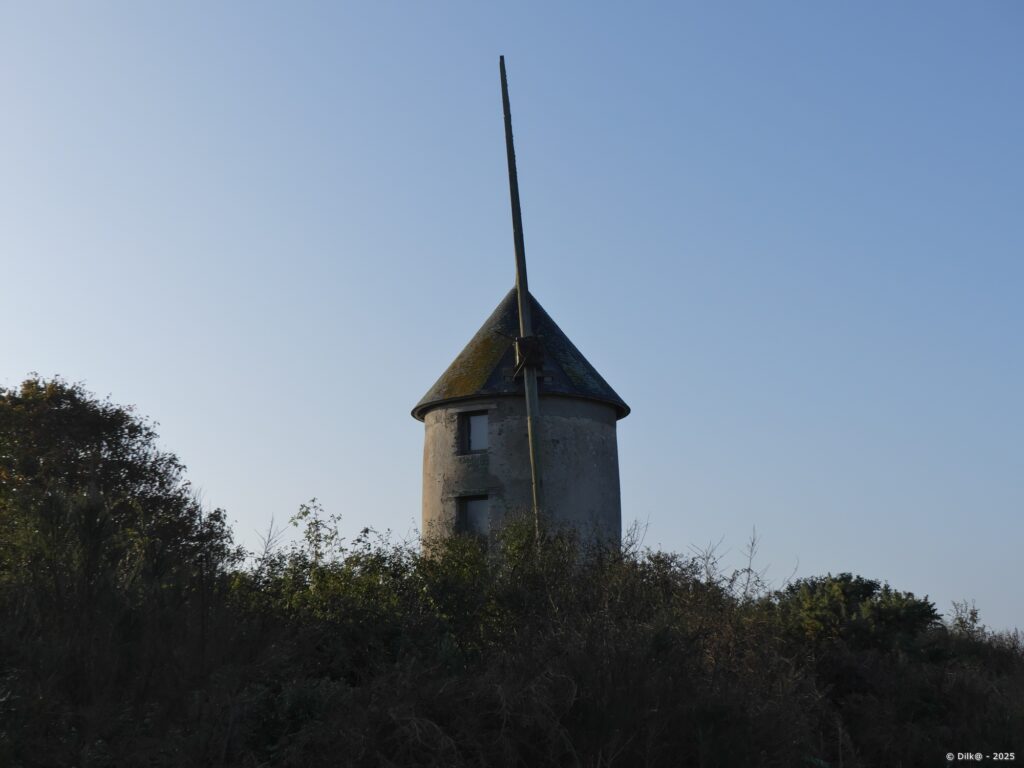 Le moulin Marchand