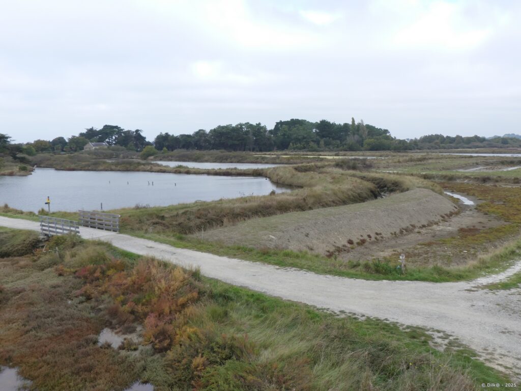Les marais depuis l'observatoire du Rostu