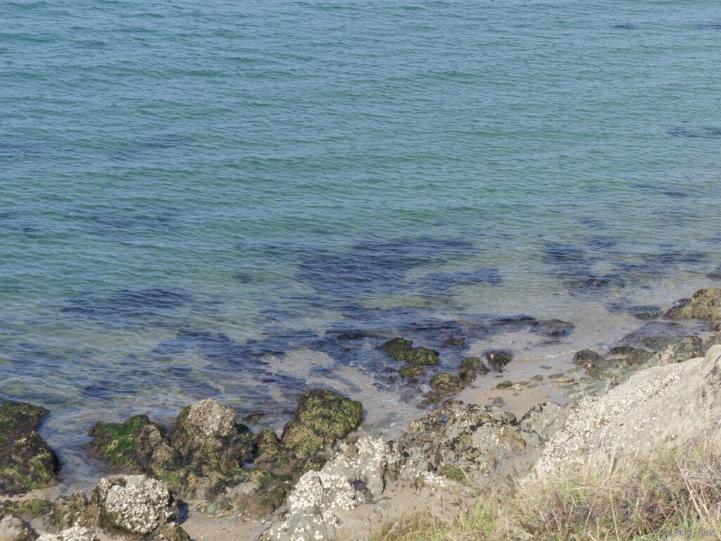 L'eau cristalline de la côte près de Piriac-sur-Mer