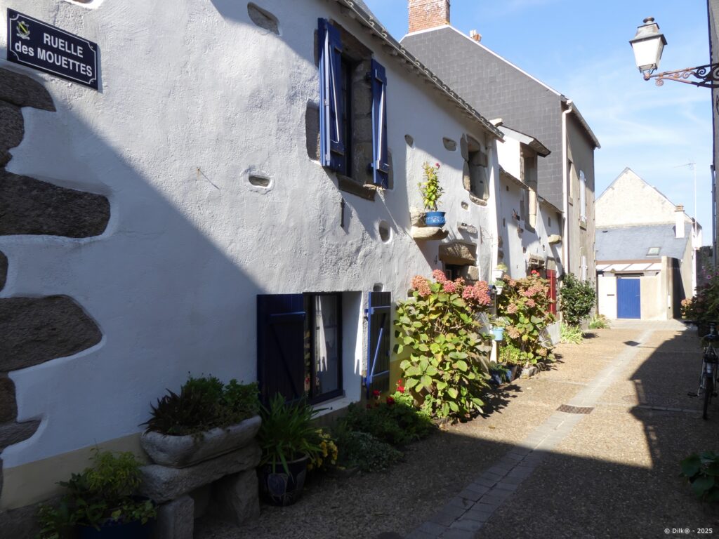 Les charmantes maisons de la ruelle des Mouettes